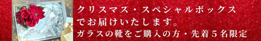 クリスマススペシャルボックスでお届け中
